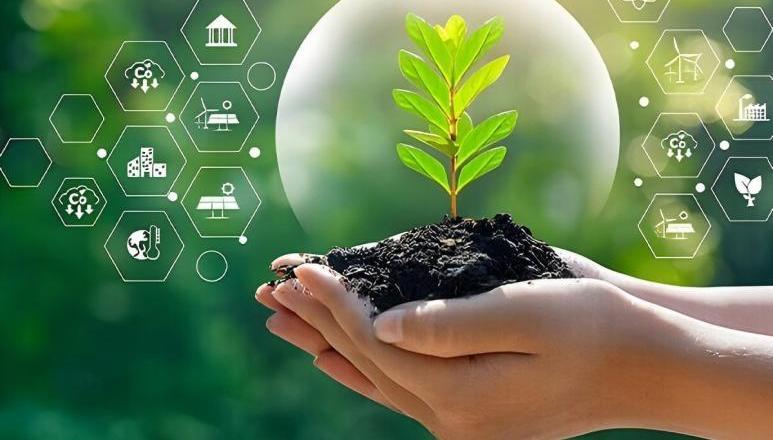 Chongqing Chuandong Chemical (Group) Co., Ltd